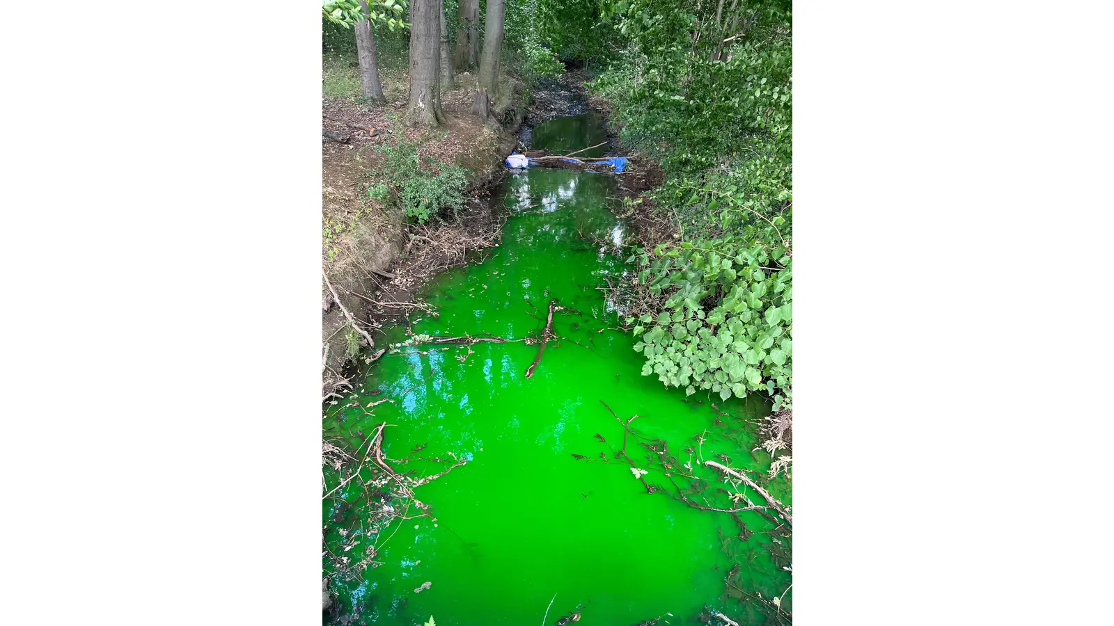 Insgesamt waren etwa 40 Kameraden der verschiedenen Einheiten vor Ort im Einsatz. (Foto: privat)