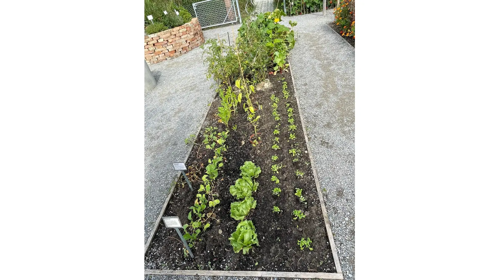 Die Größenansicht einer Gartenparzelle auf einer Gemeinschaftsfläche. (Foto: gk)