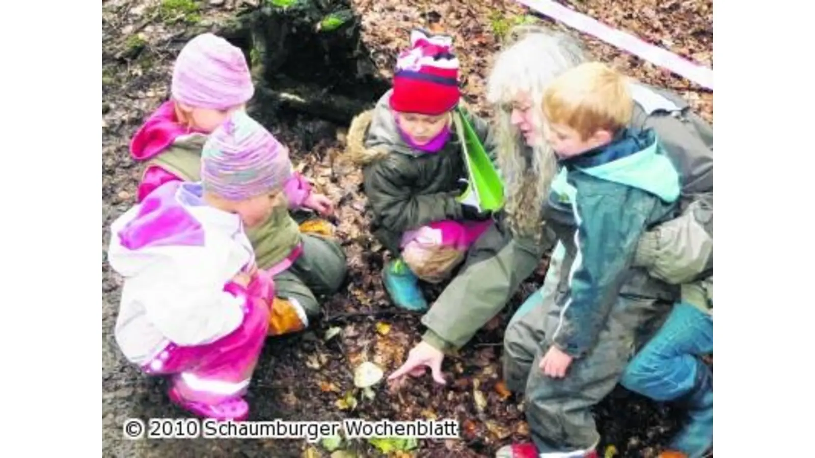 Kinder den Pilzen auf der Spur (Foto: red)