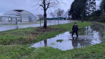 Die Böden sind mit Wasser gesättigt, der Flutgraben führt bereits wieder Wasser. Eike Zech von der gleichnamigen Gärtnerei fürchtet, dass sich ein Hochwasser wie Weihnachten 2023 wiederholen kann.  (Foto: ste)