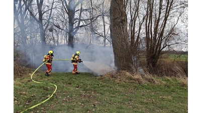 Die Feuerwehr löschte einen Baumbrand an der Domäne. (Foto: privat)