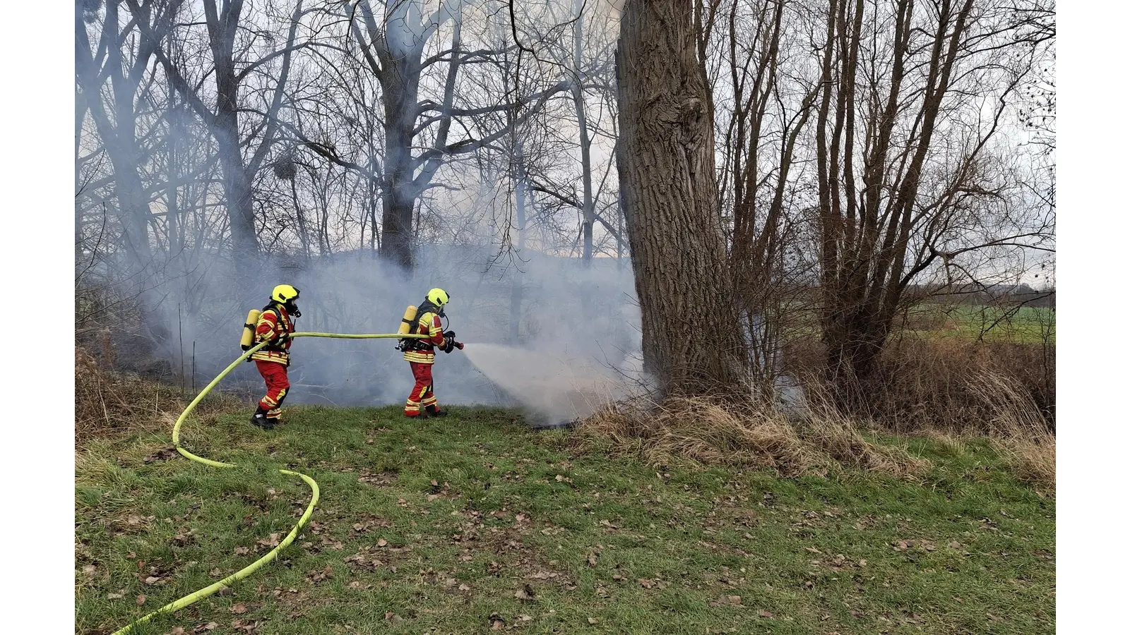 Die Feuerwehr löschte einen Baumbrand an der Domäne. (Foto: privat)