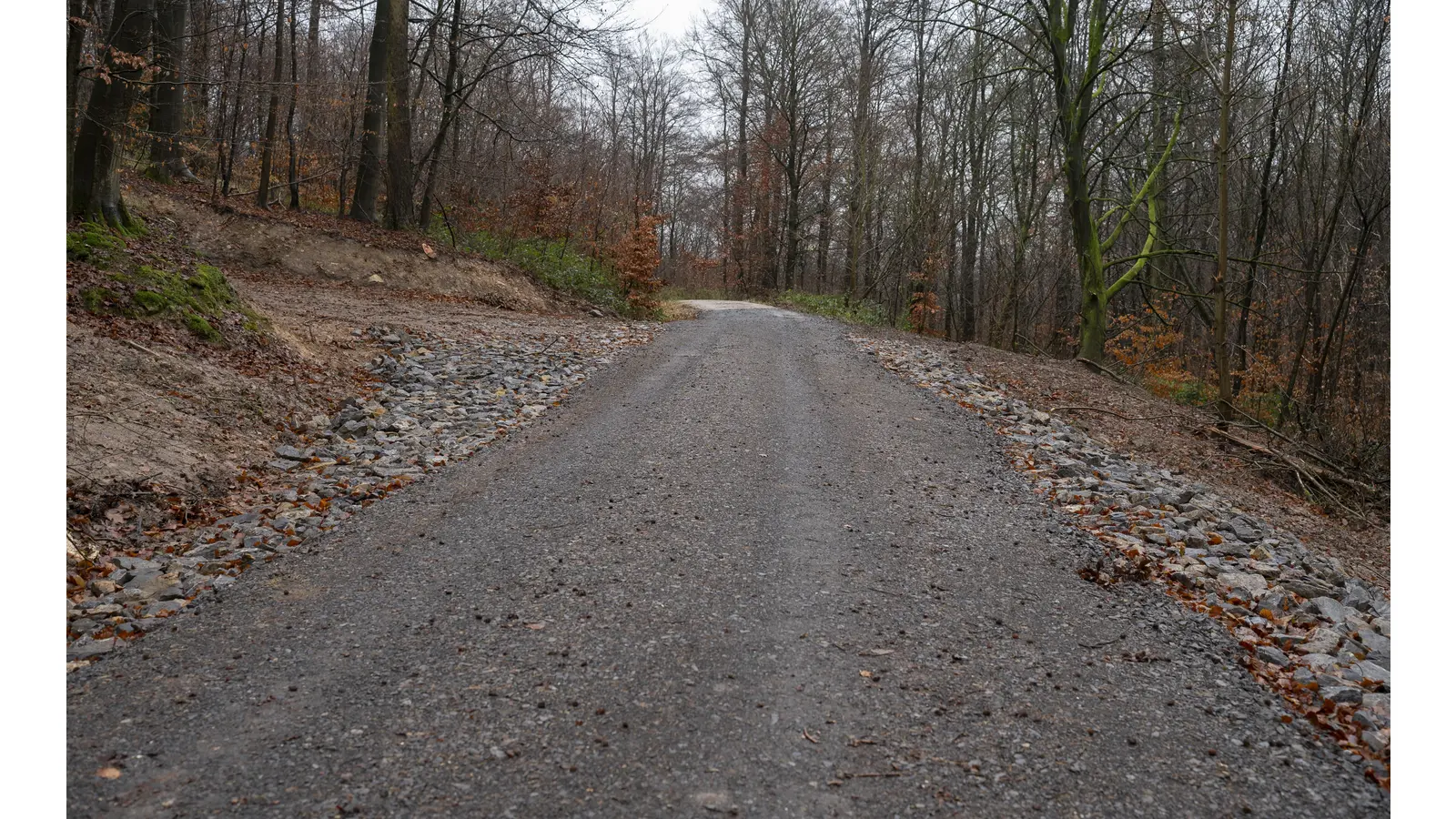 Erfolgreiche Instandsetzung des Wallmannweges nach Erdrutsch (Foto: Niedersächsische Landesforsten – Forstamt Saupark)