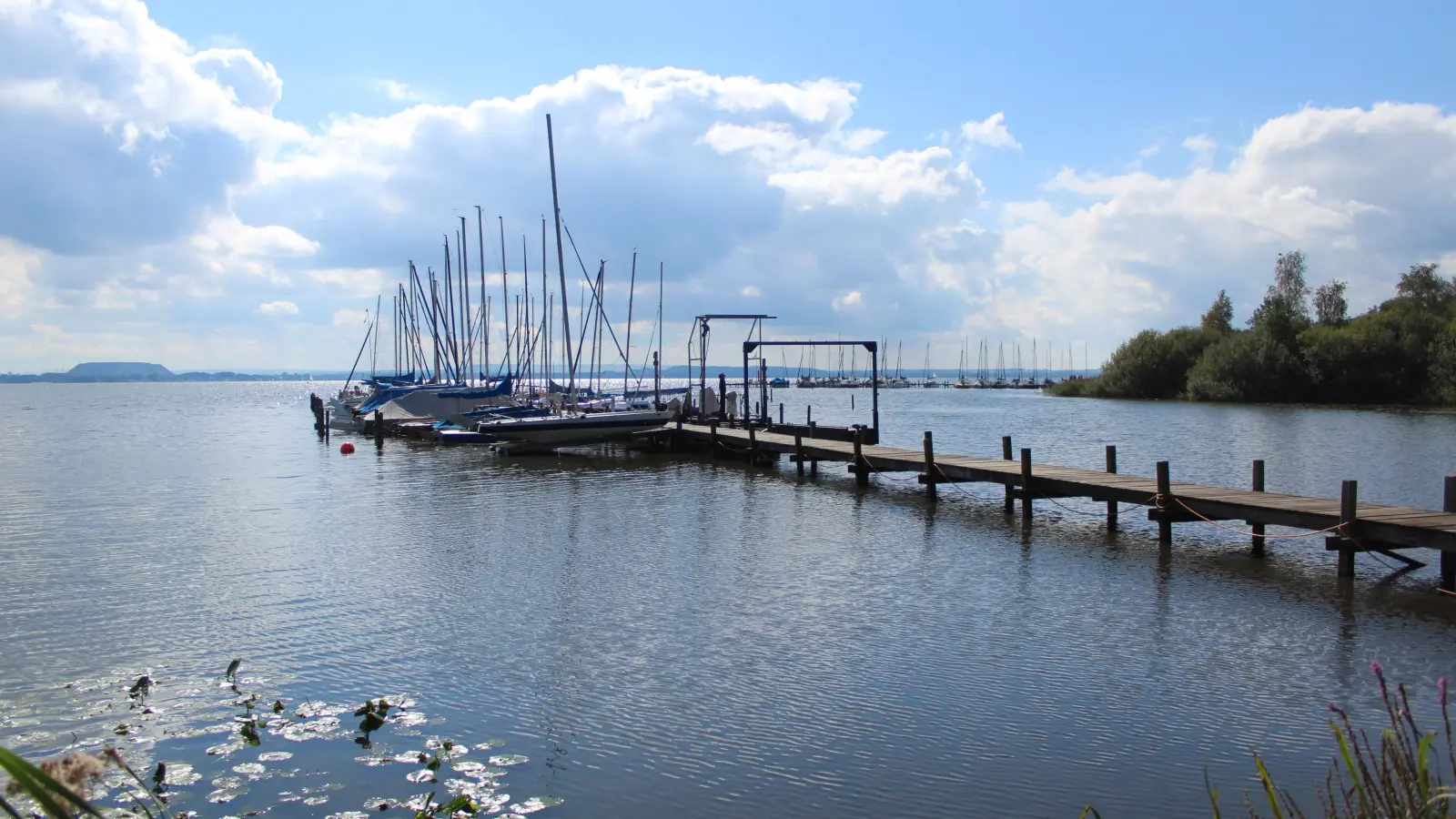 Starke Regenfälle sorgen für hohen Wasserstand und getrübtes Seglervergnügen. (Foto: wb)