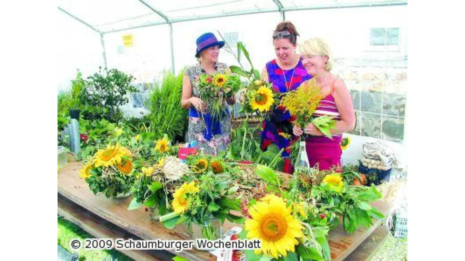 Sonnenblumenfest am Sonntag (Foto: km)