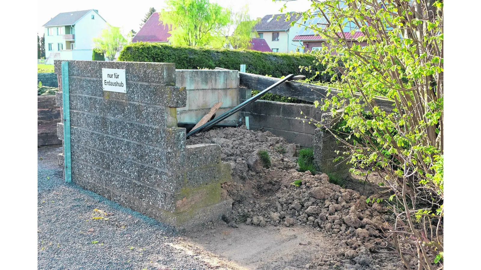 Friedhof soll mehr ergrünen (Foto: jl)