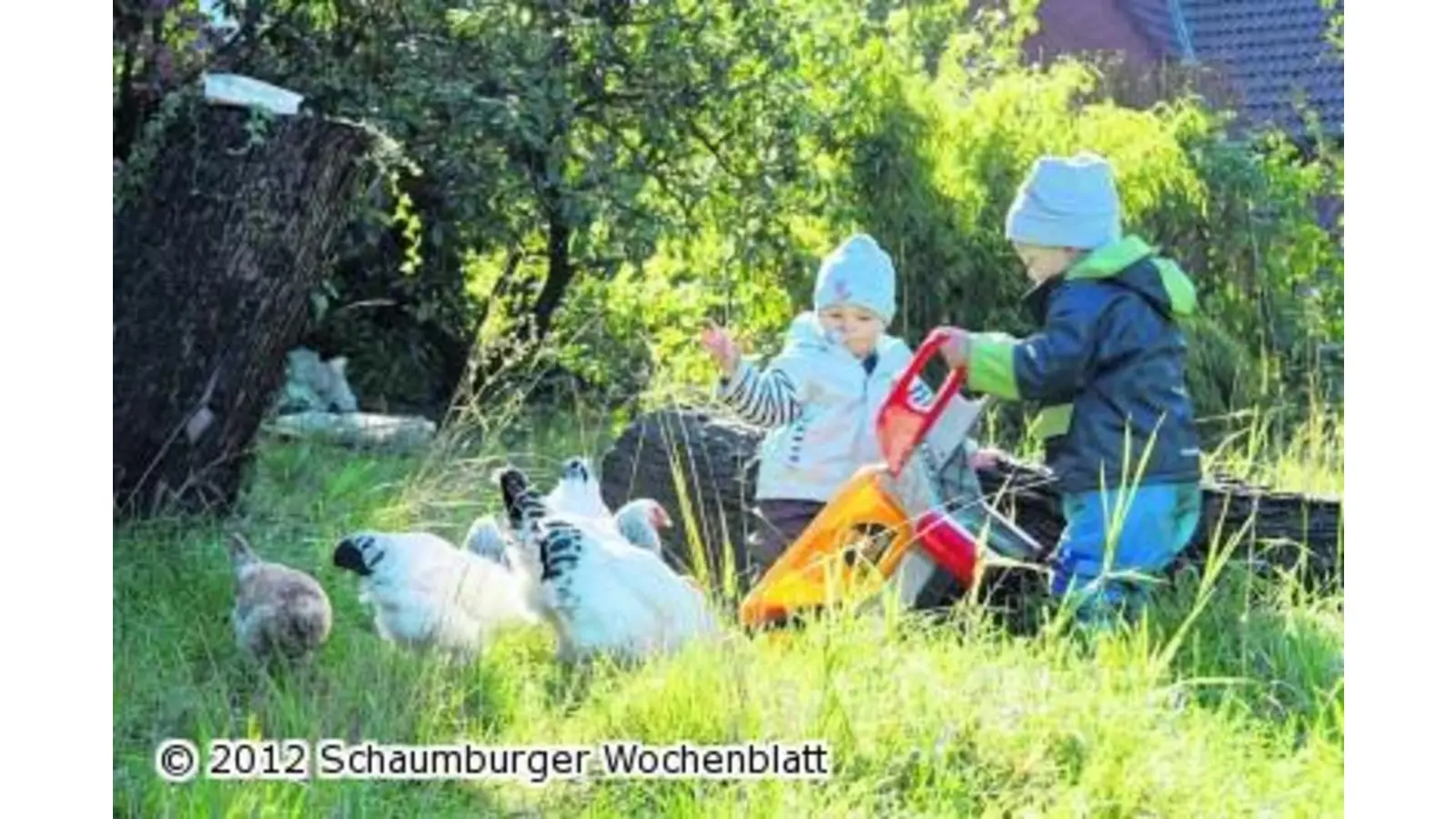 Mensch und Tier begegnen sich (Foto: em)