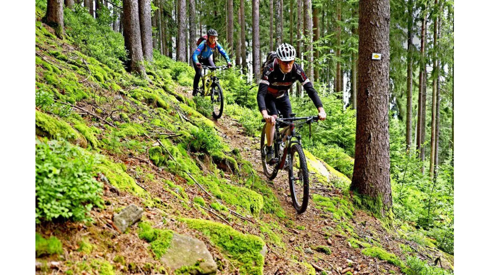 In die Frage der intensiveren legalen Nutzung des Deisters als Standort für Mountainbiking deutet sich Bewegung an.  (Foto: privat)