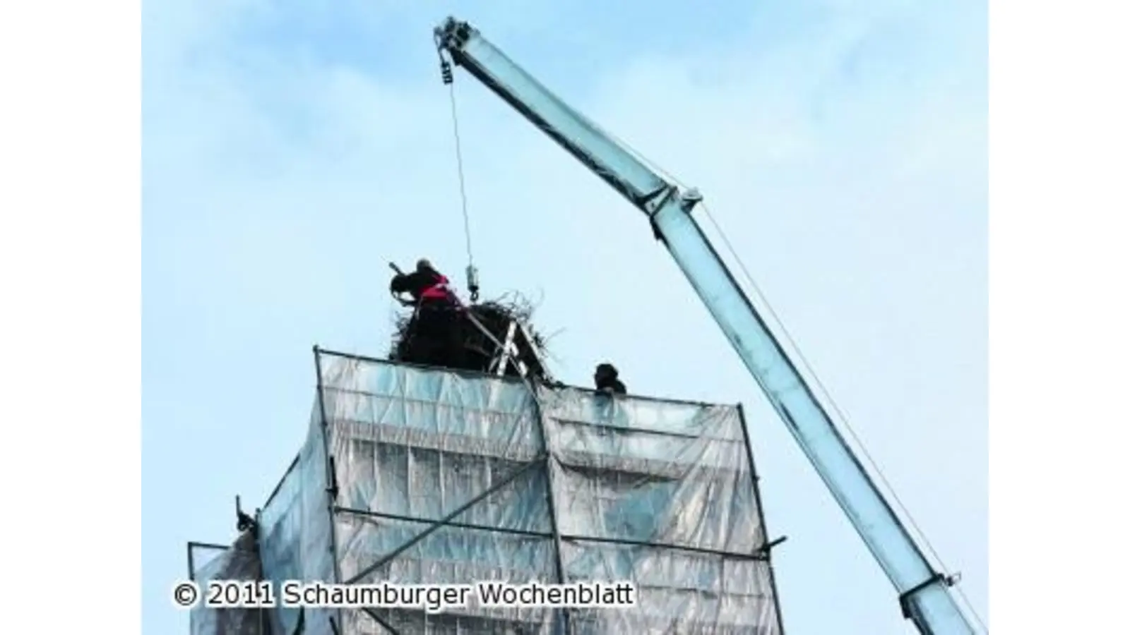 Ein neues Eigenheim für Familie Adebar (Foto: hb)