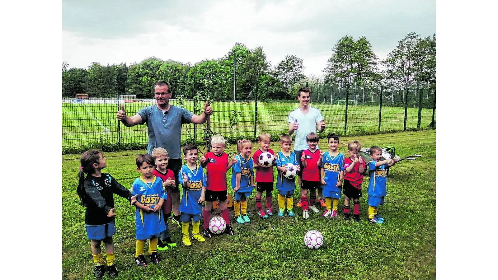 Drei Apfelbäume am Sportplatz (Foto: al)