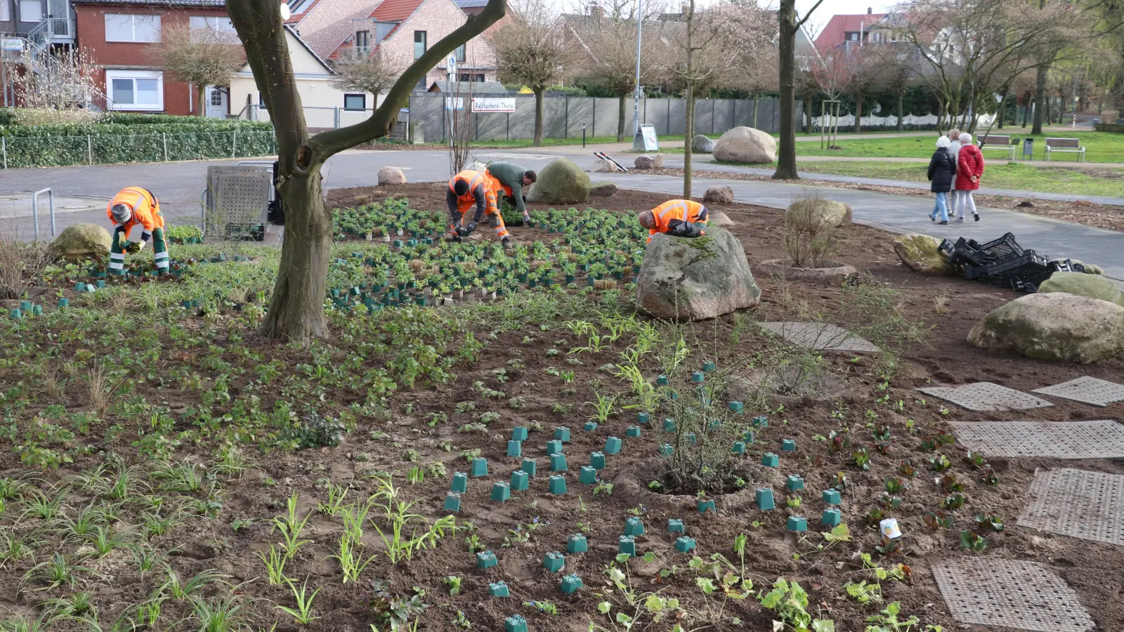 Das größte Pflanzbeet in Steinhude an den Strandterrassen wird ein Hingucker werden.  (Foto: gi)