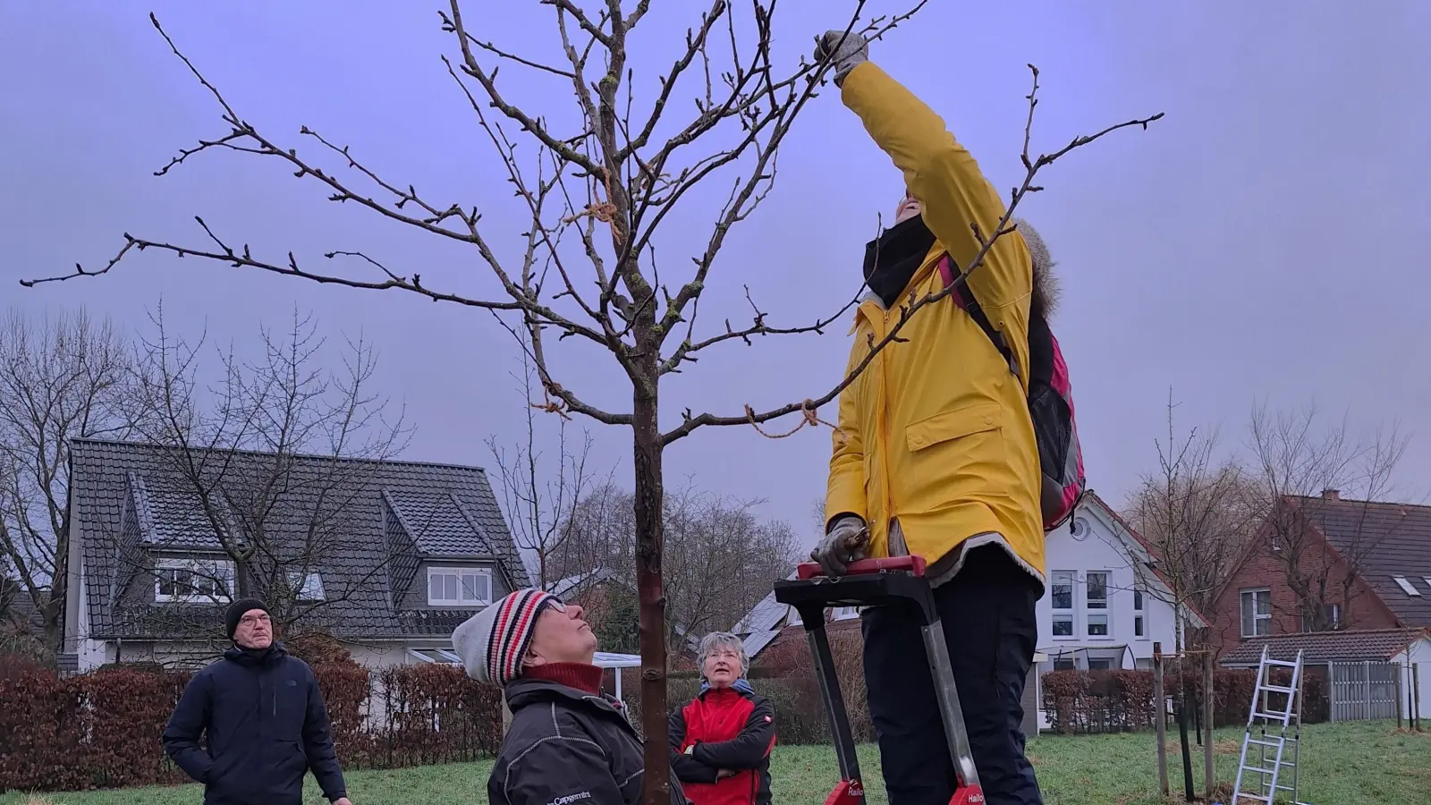 Fachkundige Baumschnitt-Einweisung für die interessierten AG-Mitglieder auf der Streuobstwiese. (Foto: privat)