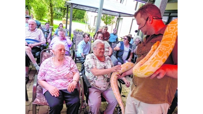 Therapie und Vergnügen (Foto: mk)