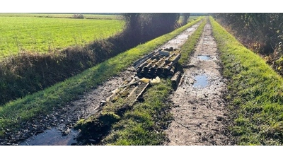 Entsorgte Asbestplatten mitten auf dem Feldweg. (Foto: privat)