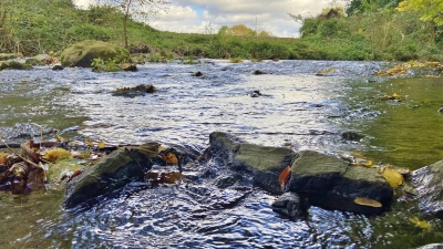 Schaumburgs Bäche, wie hier die Exter in Rinteln, haben eine eher mäßige Qualität. (Foto: ste)