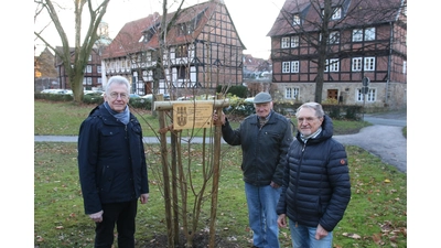 Heinz Aumann (li.), Dieter Kellermeier und Karl-Heinz Hepe vom Verkehrsverein nach der Pflanzung des Feldahorns aus Anlass des 125-jährigen Bestehen des Vereins.  (Foto: bb)