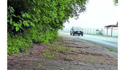 Passanten stolpern an der Linde (Foto: al)