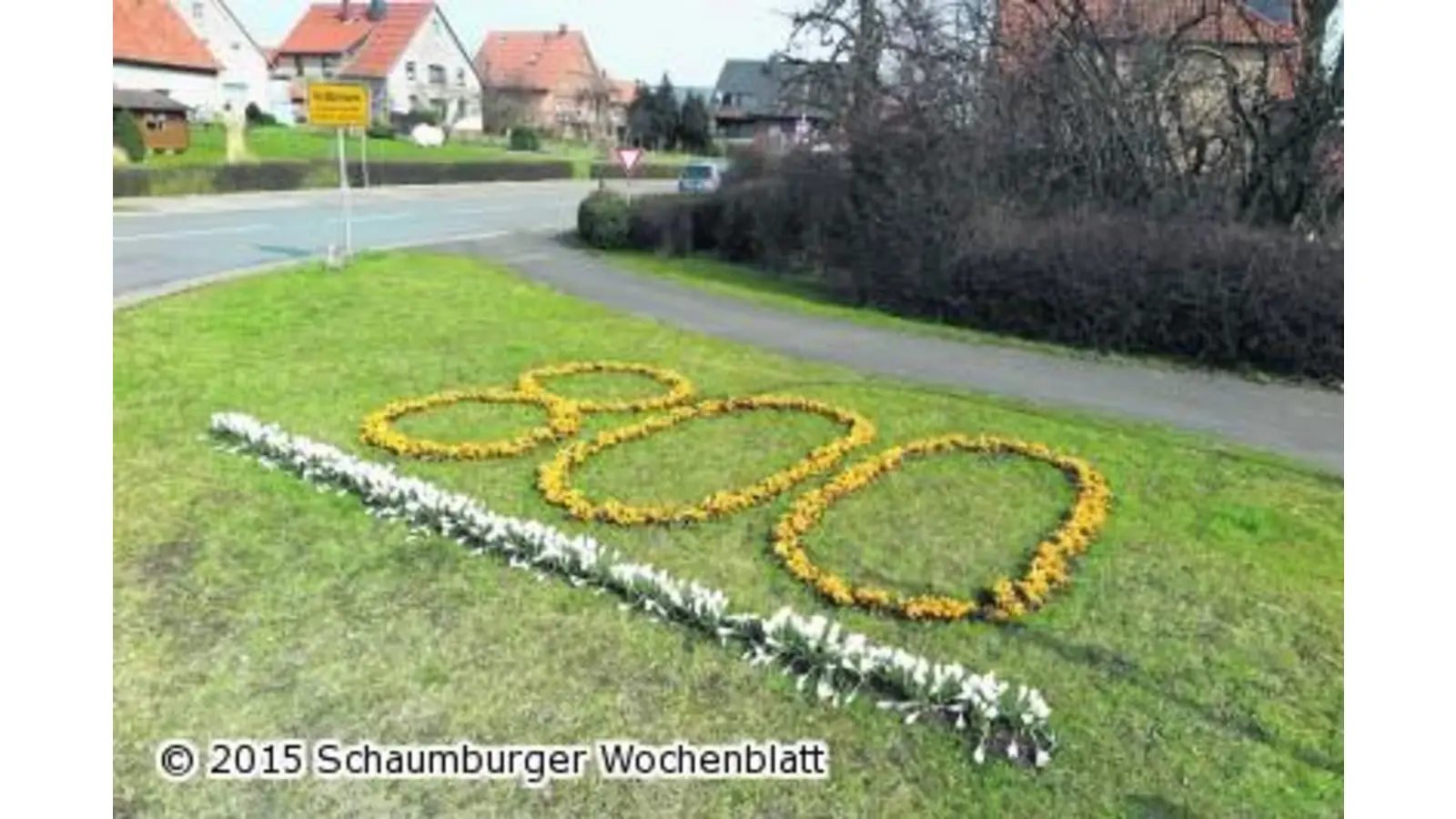 Ein blühender Hinweis (Foto: mh)