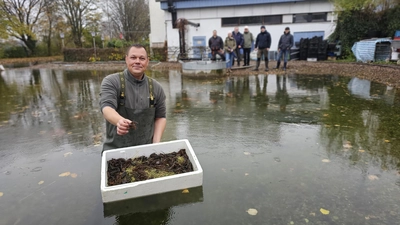 Setzt die Edelkrebse im Filterbecken des NaturErlebnisBades aus: Jan Schiffers vom ASV Luthe. (Foto: tau)