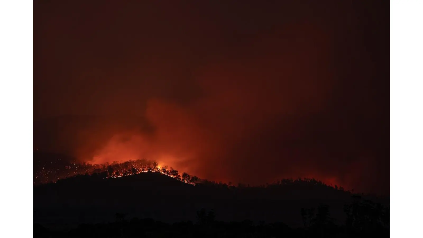 Hilfe beim Waldbrand in der Türkei. (Foto: unplash.com)