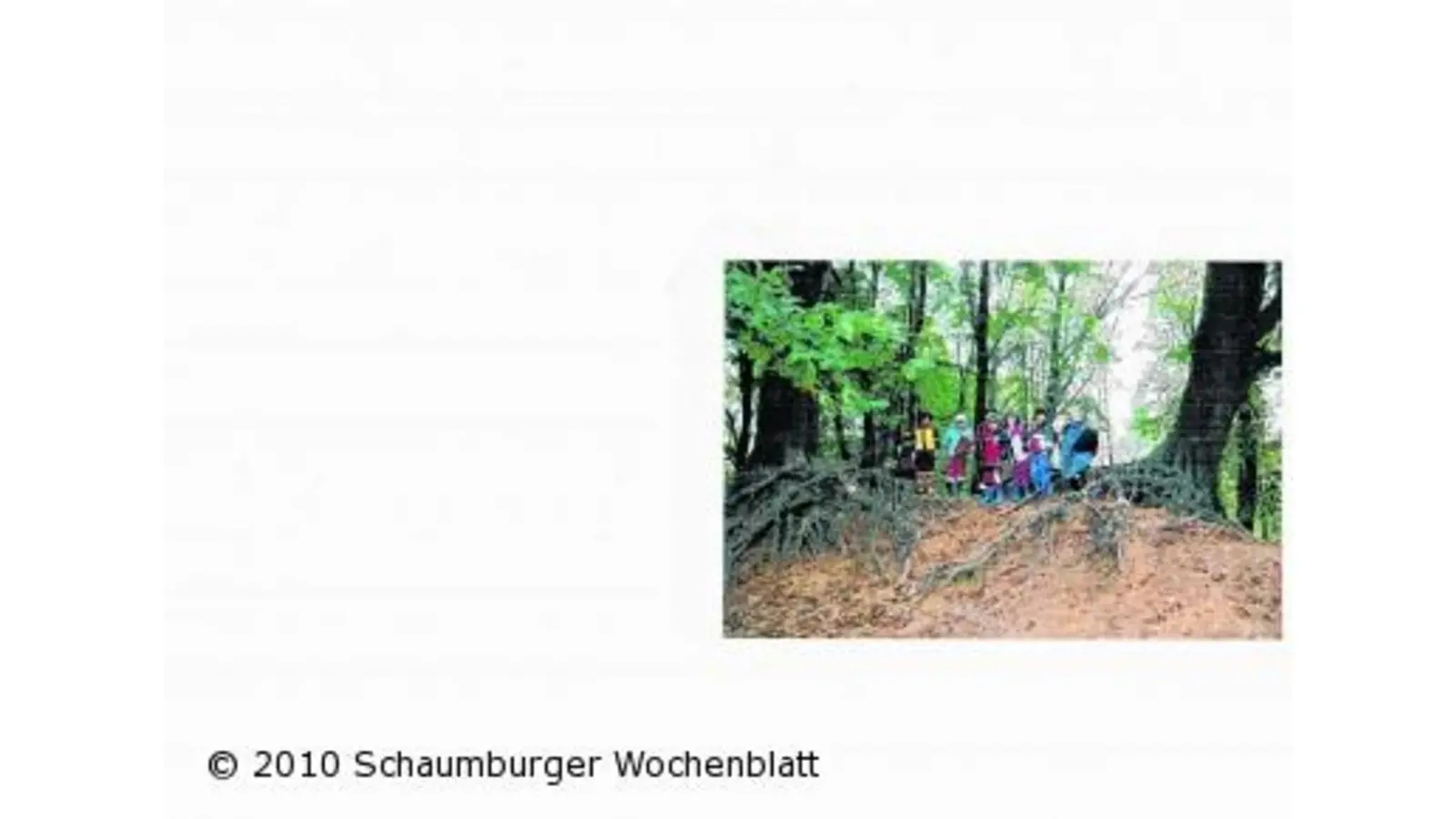 Pusteblumen-Kinder im Wald unterwegs (Foto: red)