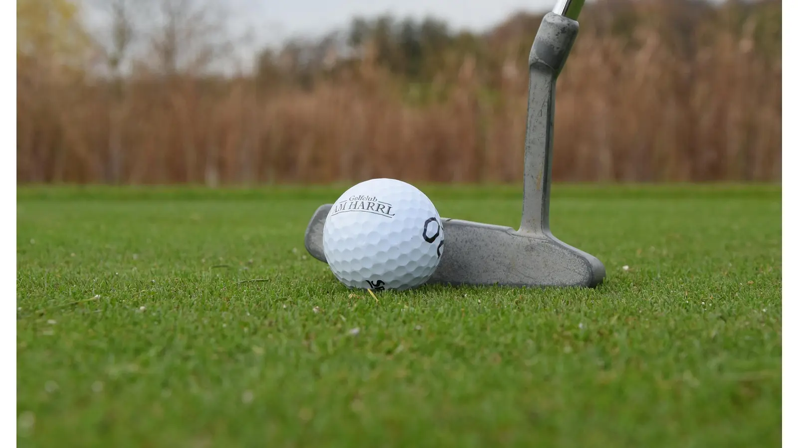 Golfsport wird häufig mit artenlosem Kurzrasen in Verbindung gebracht. Die Schaumburger Golfclubs, wie hier „Am Harrl“, zeigen, dass Golf ein sehr naturnaher Sport ist mit viel Potenzial für Natur- und Artenschutz. (Foto: ste)