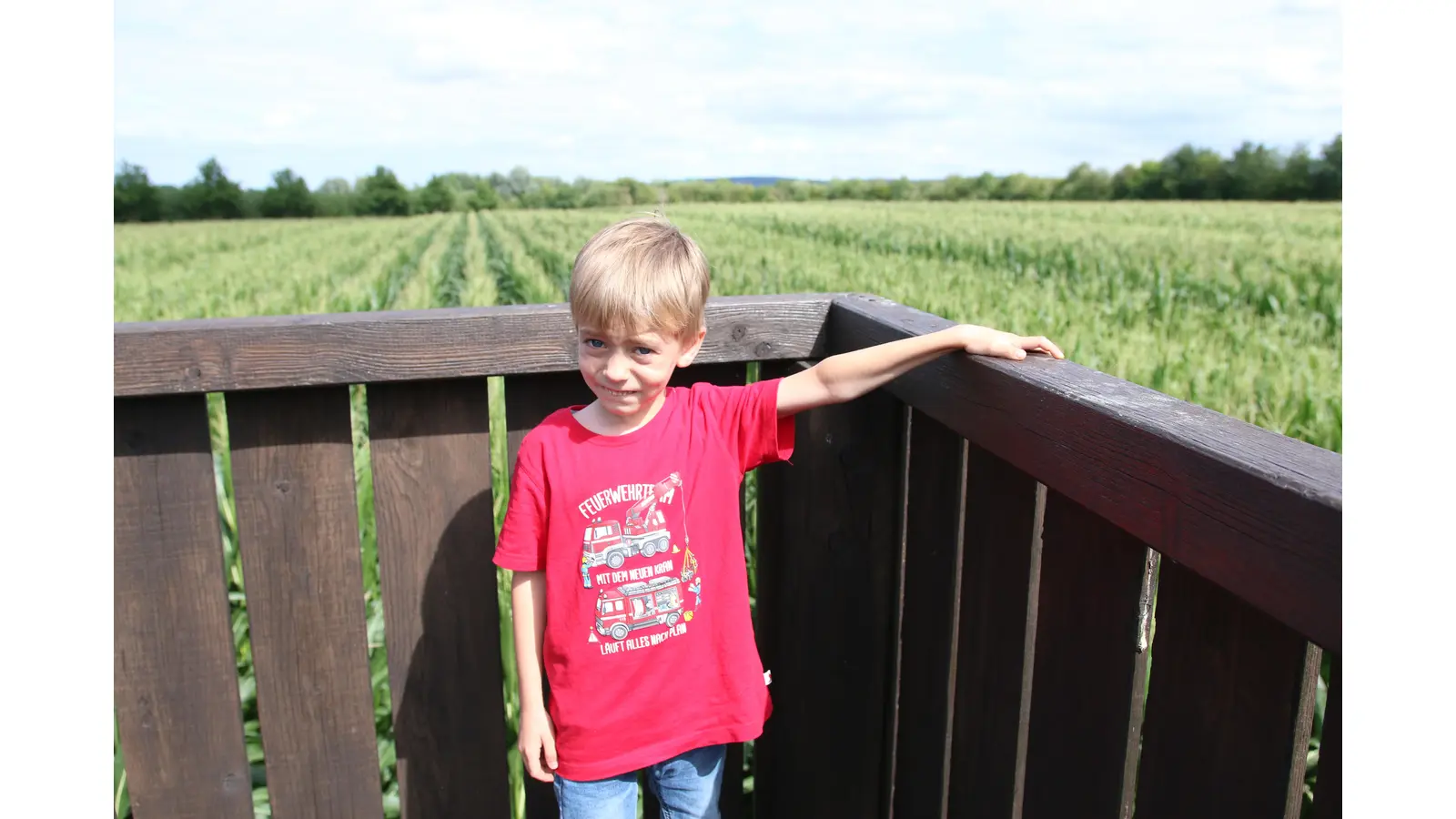 Die Familie Schweer lädt wieder zum Besuch des Maislabyrinths ein, Moritz (6) kennt den Weg durch den Irrgarten genau. (Foto: Borchers, Bastian)