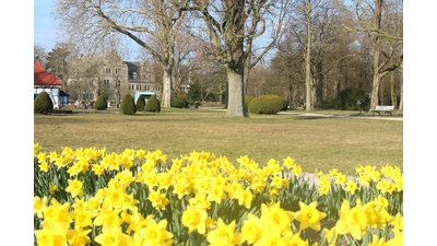 Die Förderung für den Schlossgarten ist gesichert, wieviel Fördergeld für Projekte im Bereich Integration in Zukunft bleibt, ist ungewiss. (Foto: bb)