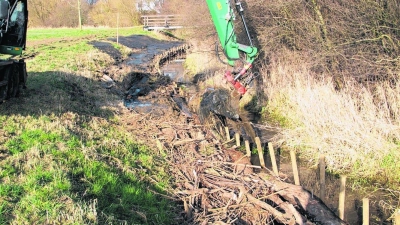 Zwischen Böschung und Pfählen werden Totholz und Schlamm eingearbeitet. (Foto: tau)