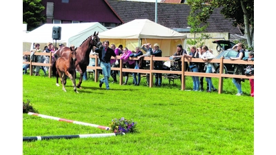 Lillifee gehört zur Elite (Foto: al)