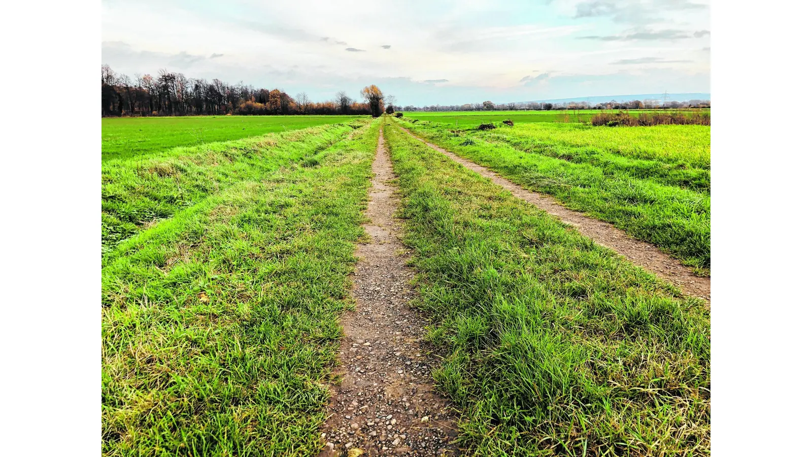 In Biotope verwandeln (Foto: nh)