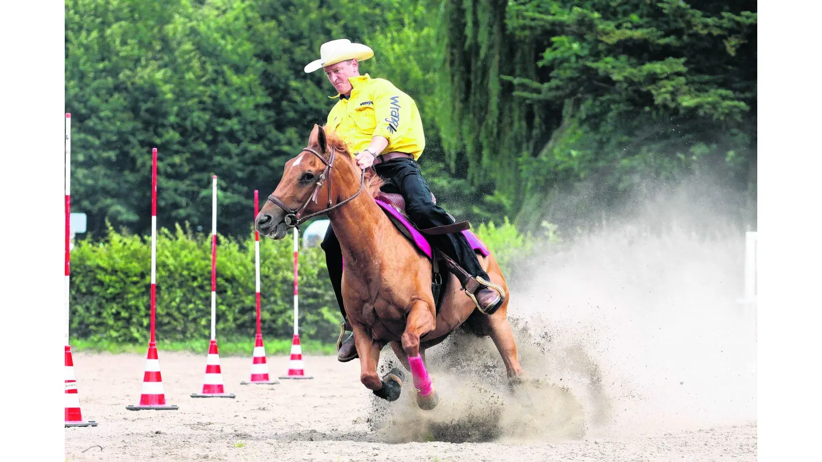 Ross und Reiter geben alles | Schaumburger Wochenblatt