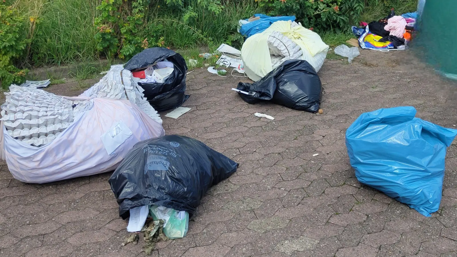 Bad Nenndorf fit für die Umwelt machen. (Foto: gk)