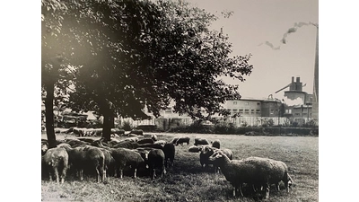 Fotoausstellung zeigt ungeahnte und ungewöhnliche Ansichten aus Lauenau. (Foto: gk)