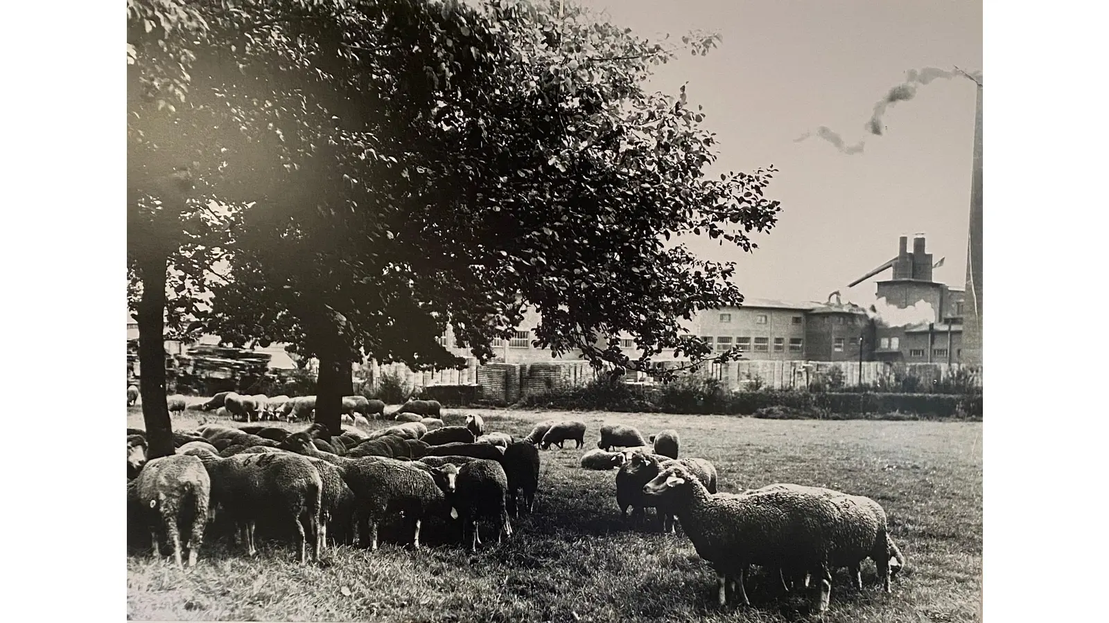 Fotoausstellung zeigt ungeahnte und ungewöhnliche Ansichten aus Lauenau. (Foto: gk)