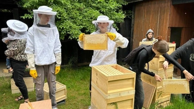 Die WBG-Schüler ernten den ersten Honig des Jahres. (Foto: privat)