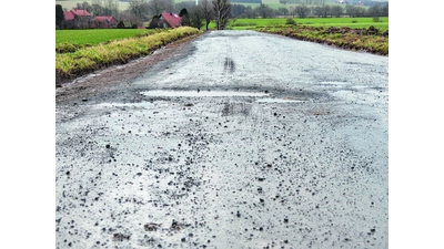 Zahlreiche Schlaglöcher prägen den Weg zur Bussenmühle (Foto: al)