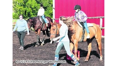 Viel Trubel auf Koppel und Diele (Foto: al)