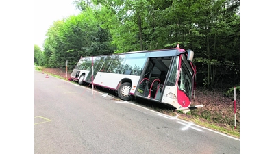 Der Busfahrer  verstirbt nach Unfall (Foto: ste)