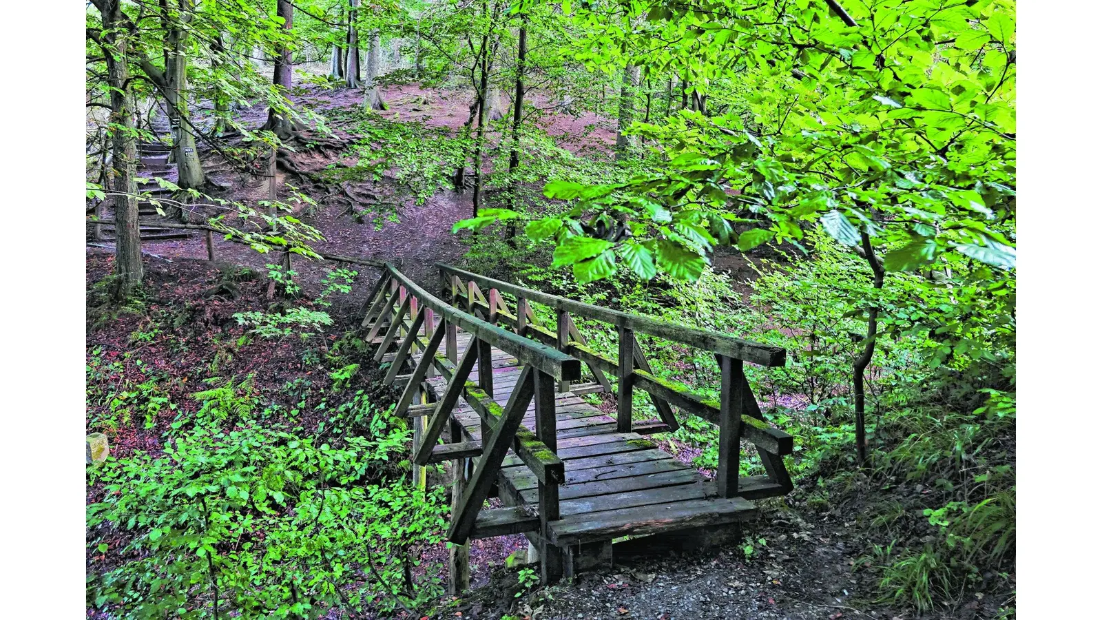 Die Sage der Teufelsbrücke erleben (Foto: jl)