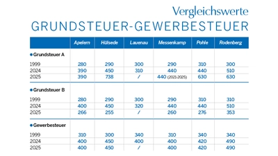 Tabelle mit der Festsetzung der Hebesätze in der Samtgemeinde Rodenberg. (Grafik: Zahlen Samtgemeinde Rodenberg)