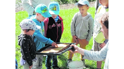 Zwei Imker begrüßen eine Kindergartengruppe (Foto: gr)