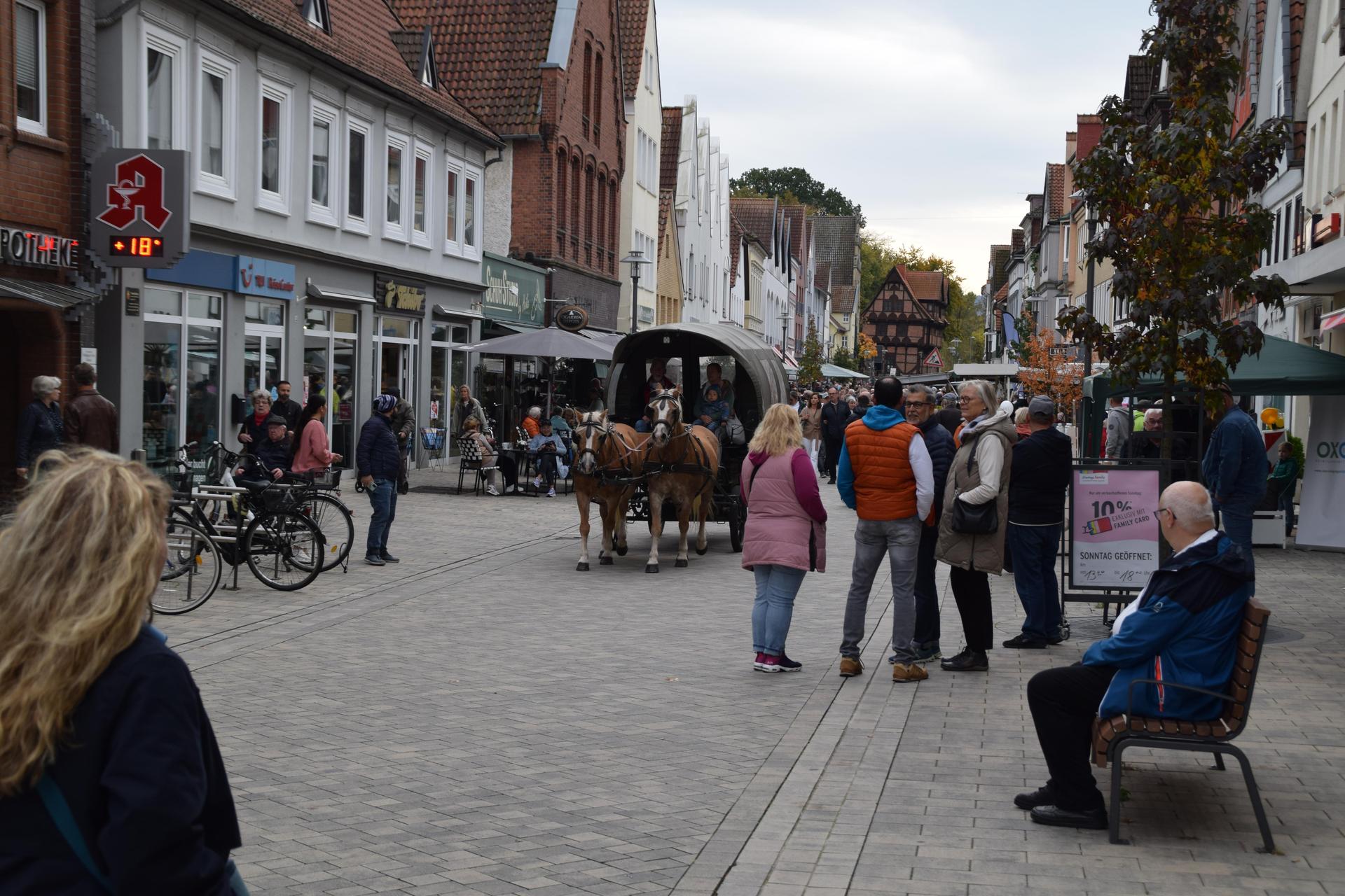 Impressionen vom Apfelmarkt in Stadthagen. (Foto: ab)