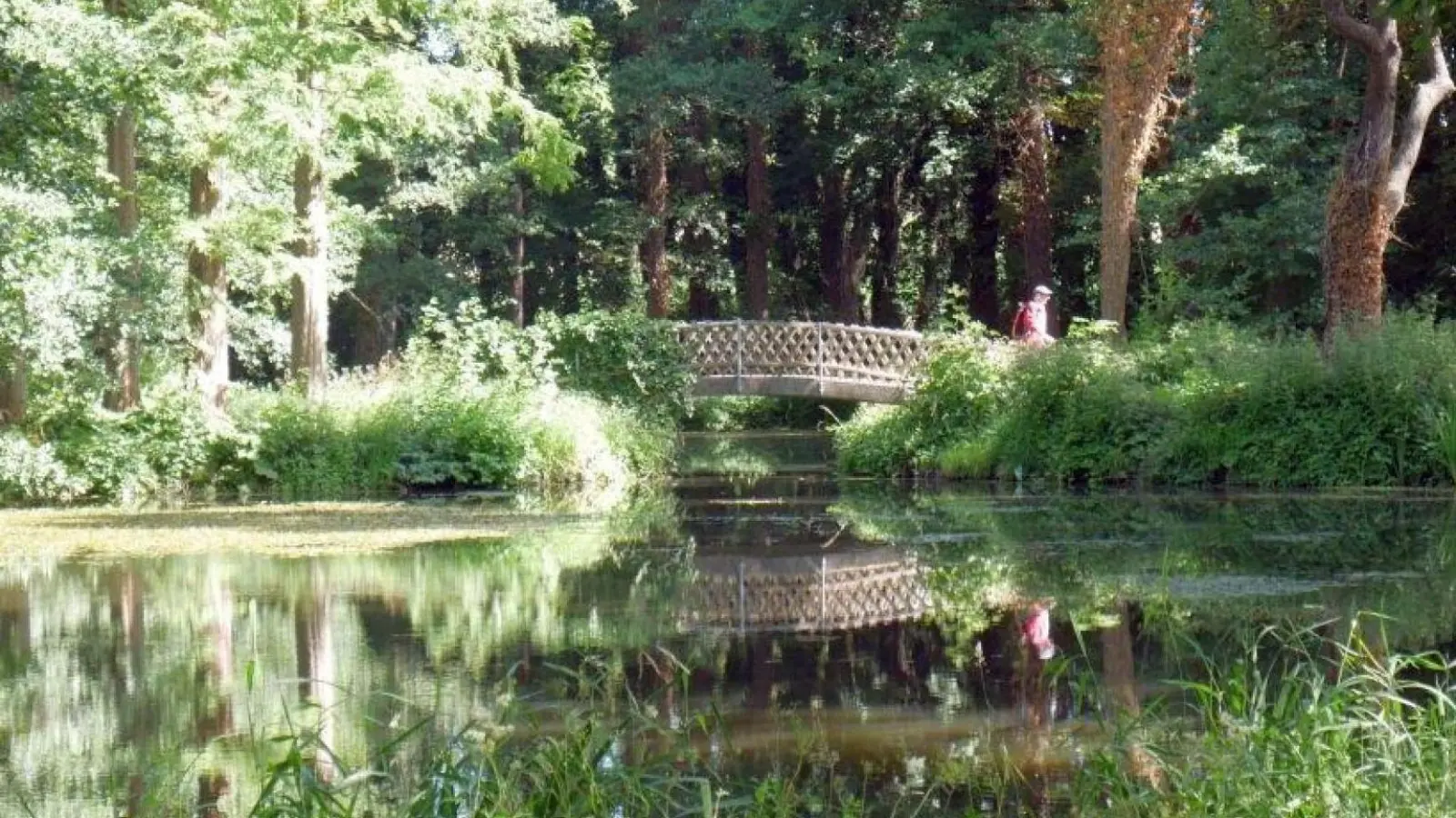 Der Erlengrundteich. (Foto: gk)