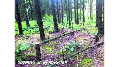 Holzklau in Kleinhegesdorf (Foto: al)