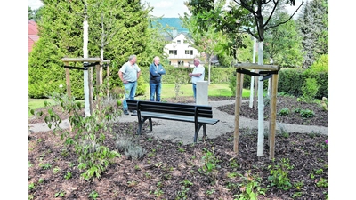 Ein bisschen wie ein kleiner „Friedwald” (Foto: ste)