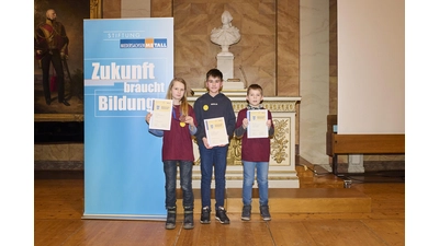 Felix Lerche, Wiko Krusch und Lias Trippel waren bei der Mathematik-Olympiade 2025 erfolgreich. (Foto: Stiftung NiedersachsenMetal)