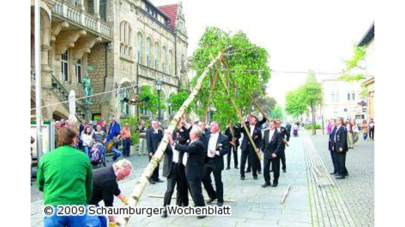 Bürgerbataillon stellt Maibaum auf (Foto: red)