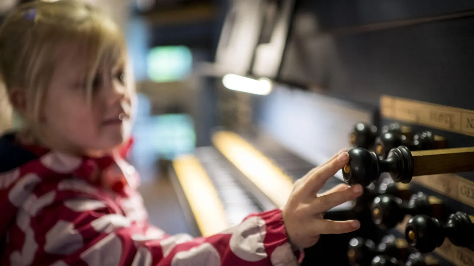 Ausprobieren: Kinder lernen die Orgel kennen. (Foto: Anna-Kristina Bauer)